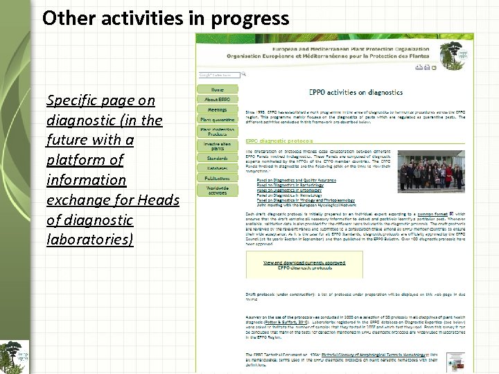 Other activities in progress Specific page on diagnostic (in the future with a platform