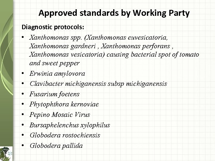 Approved standards by Working Party Diagnostic protocols: • Xanthomonas spp. (Xanthomonas euvesicatoria, Xanthomonas gardneri