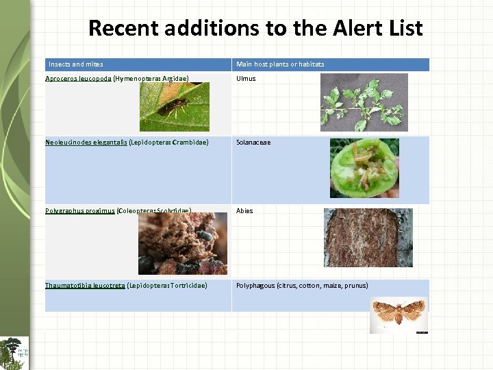 Recent additions to the Alert List Insects and mites Main host plants or habitats