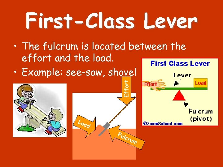 First-Class Lever Effort • The fulcrum is located between the effort and the load.