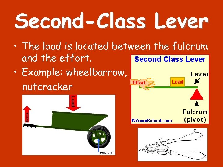 Second-Class Lever • The load is located between the fulcrum and the effort. •