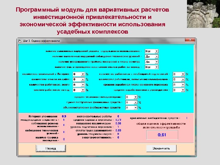 Программный модуль для вариативных расчетов инвестиционной привлекательности и экономической эффективности использования усадебных комплексов 
