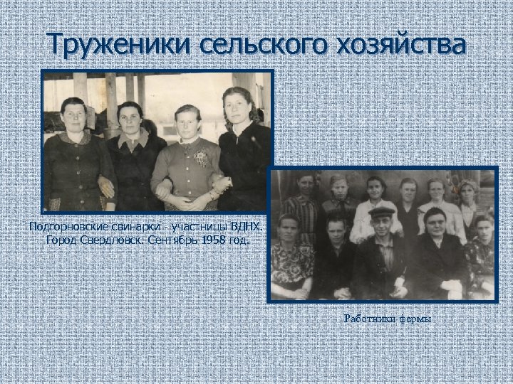 Труженики сельского хозяйства Подгорновские свинарки - участницы ВДНХ. Город Свердловск. Сентябрь 1958 год. Работники