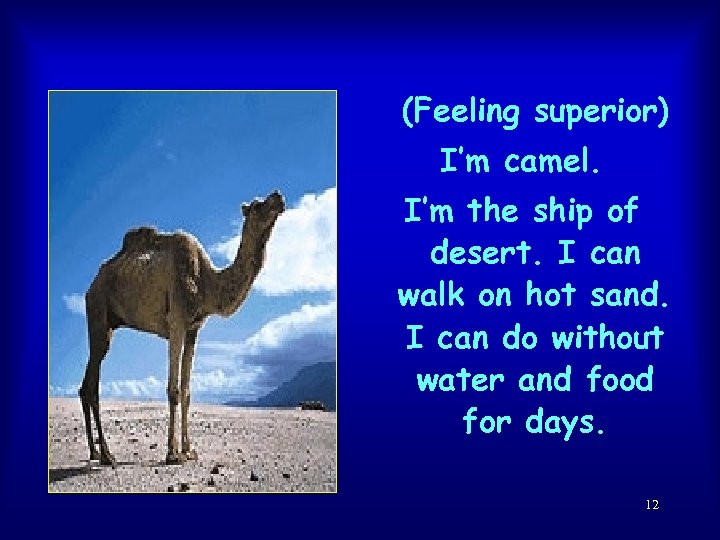 (Feeling superior) I’m camel. I’m the ship of desert. I can walk on hot