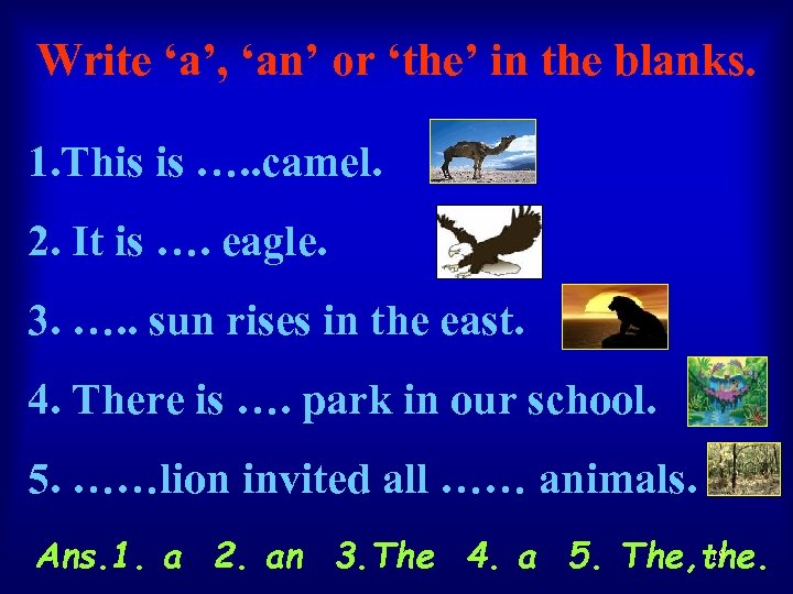 Write ‘a’, ‘an’ or ‘the’ in the blanks. 1. This is …. . camel.