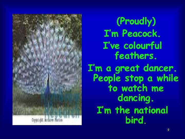 (Proudly) I’m Peacock. I’ve colourful feathers. I’m a great dancer. People stop a while