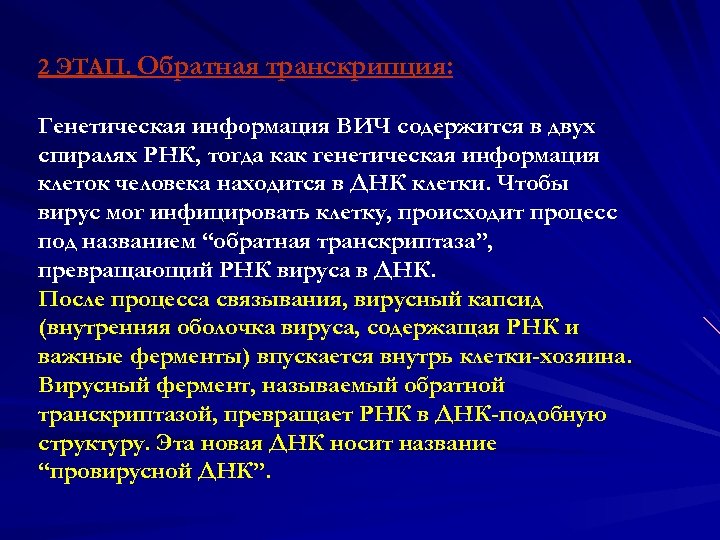 2 ЭТАП. Обратная транскрипция: Генетическая информация ВИЧ содержится в двух спиралях РНК, тогда как