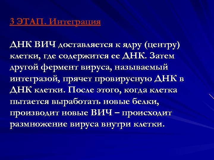 3 ЭТАП. Интеграция ДНК ВИЧ доставляется к ядру (центру) клетки, где содержится ее ДНК.