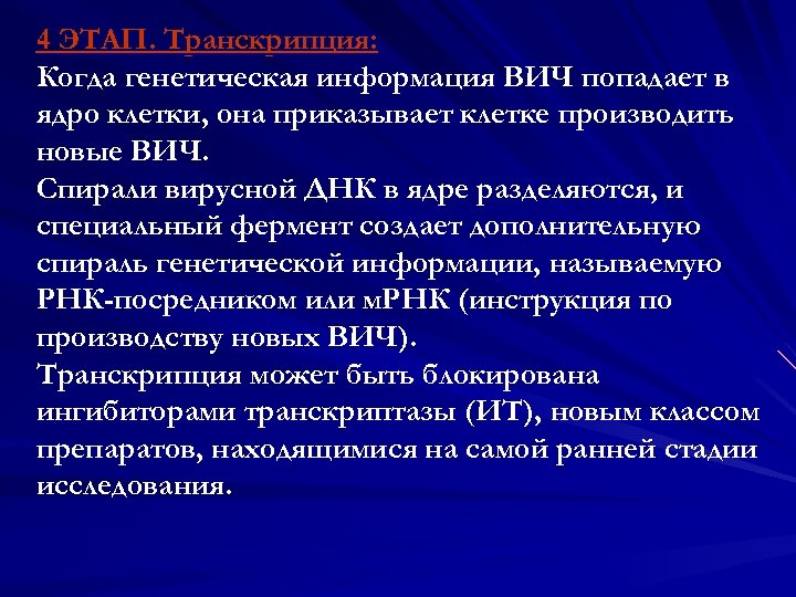 4 ЭТАП. Транскрипция: Когда генетическая информация ВИЧ попадает в ядро клетки, она приказывает клетке