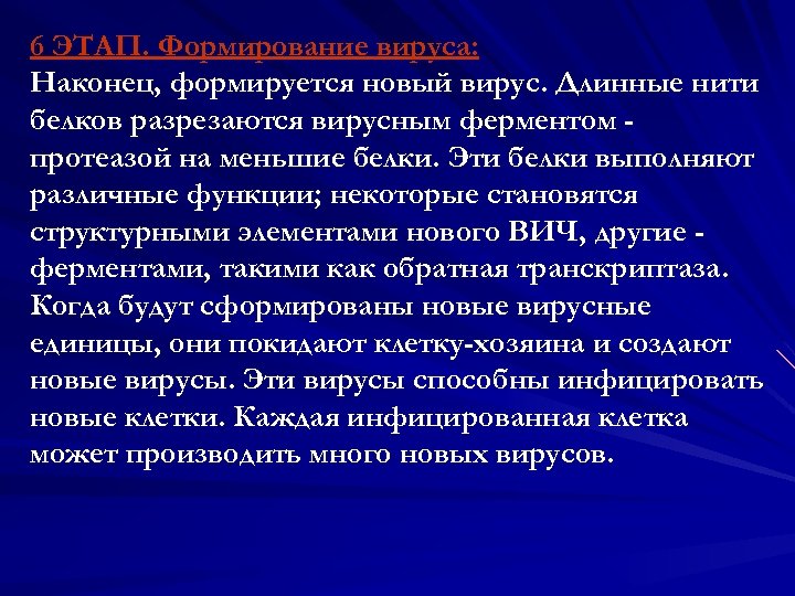 6 ЭТАП. Формирование вируса: Наконец, формируется новый вирус. Длинные нити белков разрезаются вирусным ферментом