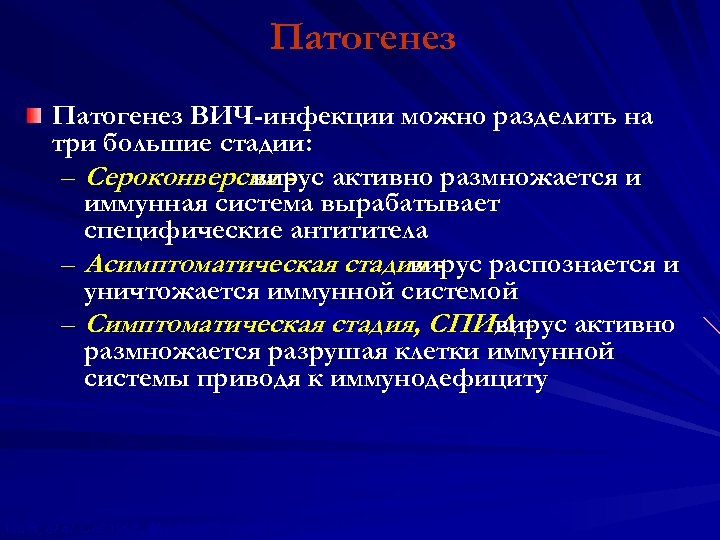 Патогенез ВИЧ-инфекции можно разделить на три большие стадии: – Сероконверсия - активно размножается и