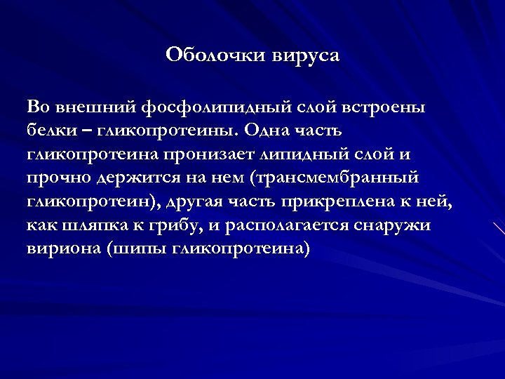 Оболочки вируса Во внешний фосфолипидный слой встроены белки – гликопротеины. Одна часть гликопротеина пронизает