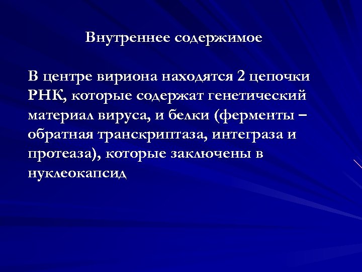 Внутреннее содержимое В центре вириона находятся 2 цепочки РНК, которые содержат генетический материал вируса,
