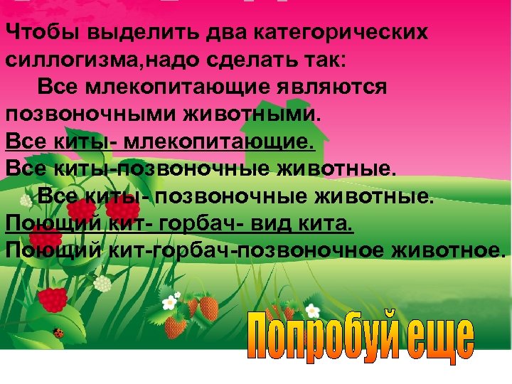 Чтобы выделить два категорических силлогизма, надо сделать так: Все млекопитающие являются позвоночными животными. Все