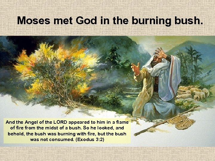 Moses met God in the burning bush. And the Angel of the LORD appeared