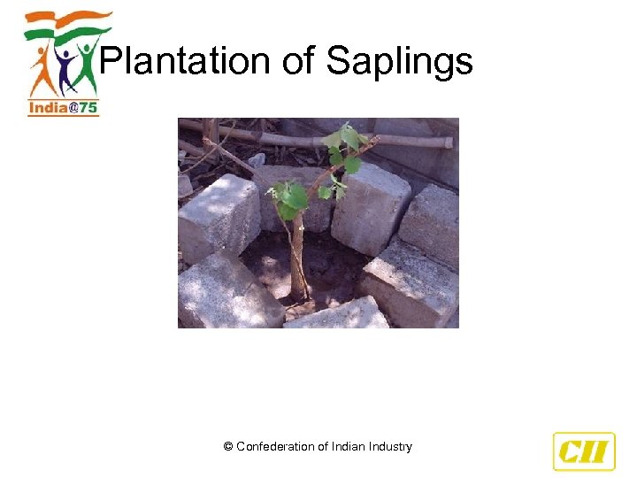 Plantation of Saplings © Confederation of Indian Industry 