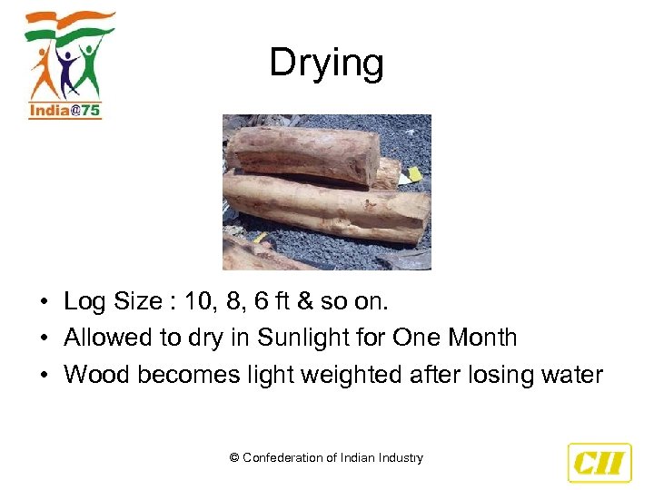 Drying • Log Size : 10, 8, 6 ft & so on. • Allowed