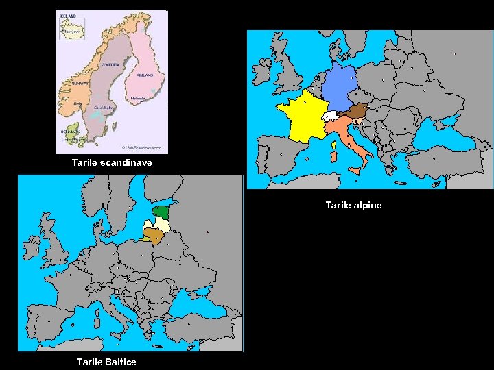 Tarile scandinave Tarile alpine Tarile Baltice 