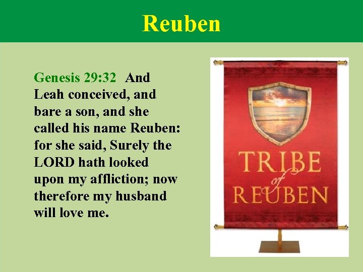 Reuben Genesis 29: 32 And Leah conceived, and bare a son, and she called
