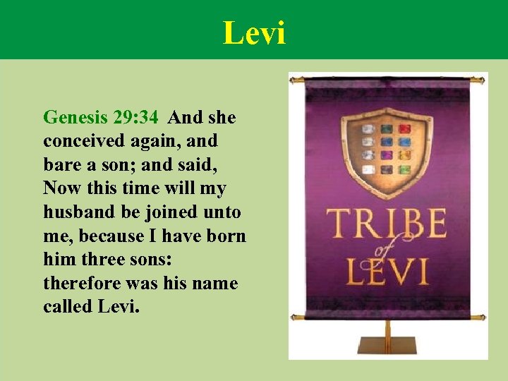 Levi Genesis 29: 34 And she conceived again, and bare a son; and said,