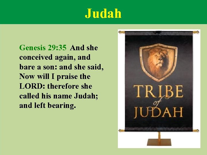Judah Genesis 29: 35 And she conceived again, and bare a son: and she