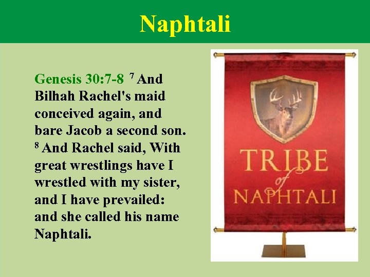 Naphtali Genesis 30: 7 -8 7 And Bilhah Rachel's maid conceived again, and bare