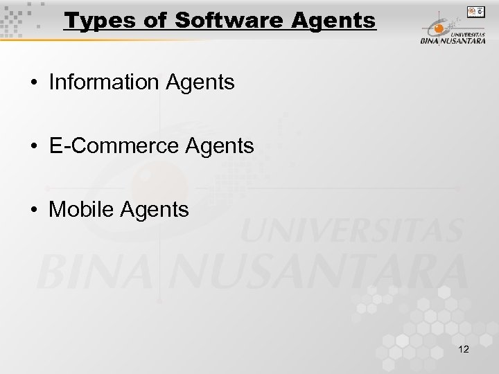Types of Software Agents • Information Agents • E-Commerce Agents • Mobile Agents 12