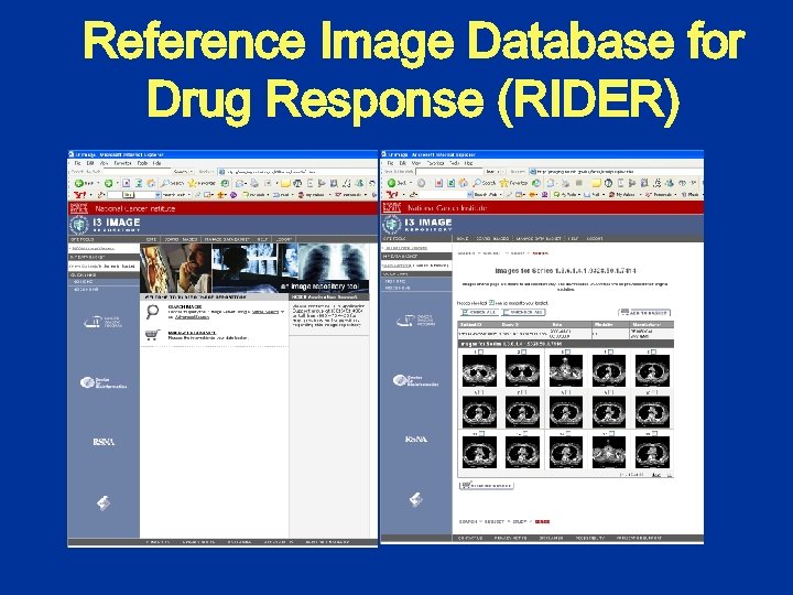 Reference Image Database for Drug Response (RIDER) 