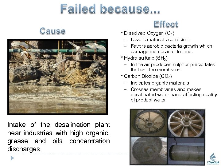 * Dissolved Oxygen (O 2) – Favors materials corrosion. – Favors aerobic bacteria growth