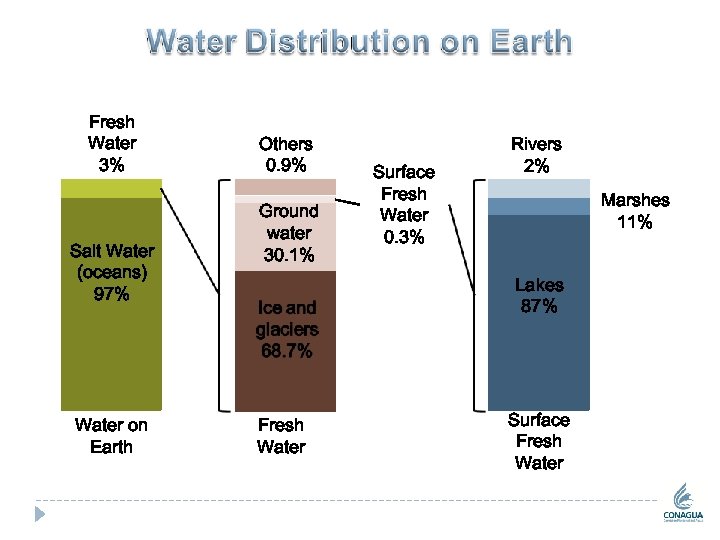 Fresh Water 3% Salt Water (oceans) 97% Water on Earth Others 0. 9% Ground