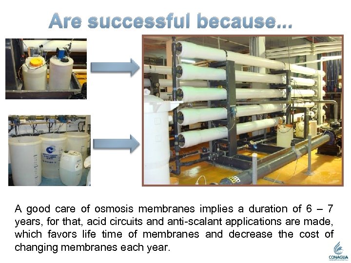 Are successful because. . . A good care of osmosis membranes implies a duration