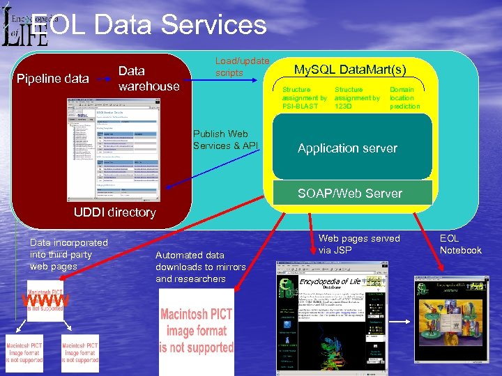 EOL Data Services Pipeline data Data warehouse Load/update scripts My. SQL Data. Mart(s) Structure