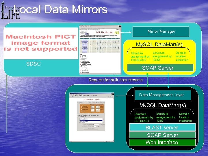 Local Data Mirrors Mirror Manager My. SQL Data. Mart(s) SDSC Structure assignment by PSI-BLAST