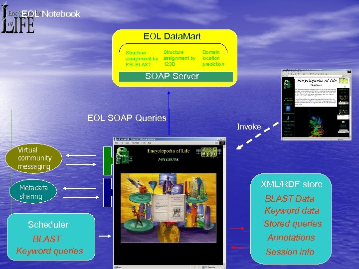 EOL Notebook EOL Data. Mart Structure assignment by PSI-BLAST Structure assignment by 123 D