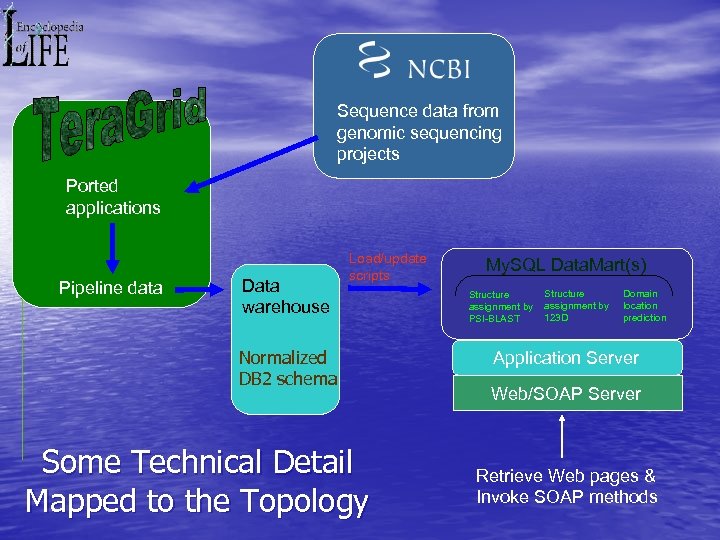 Sequence data from genomic sequencing projects Ported applications Pipeline data Data warehouse Load/update scripts