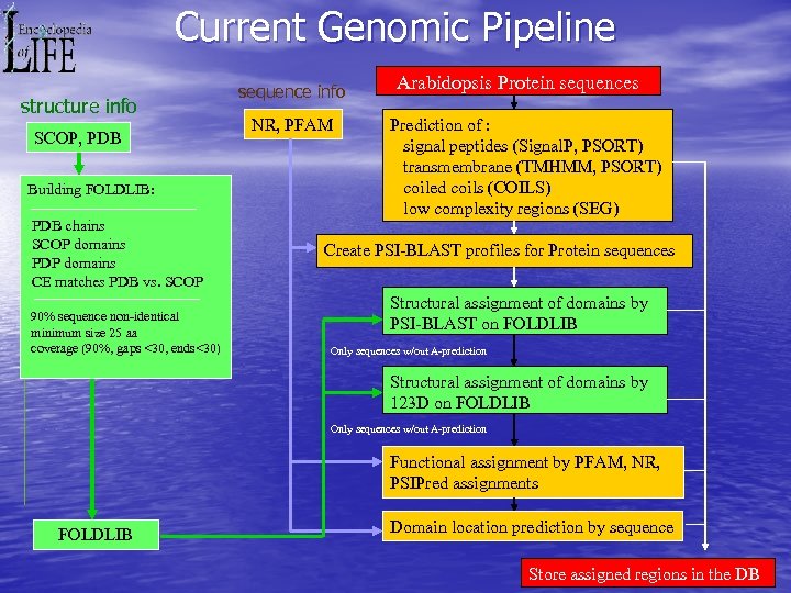 Current Genomic Pipeline structure info SCOP, PDB Building FOLDLIB: PDB chains SCOP domains PDP