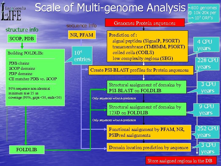 Scale of Multi-genome Analysis structure info SCOP, PDB Building FOLDLIB: PDB chains SCOP domains