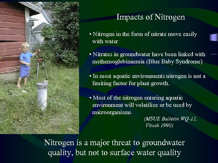 Impacts of Nitrogen • Nitrogen in the form of nitrate move easily with water