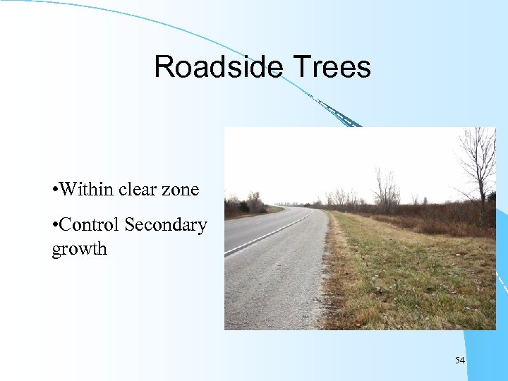 Roadside Trees • Within clear zone • Control Secondary growth 54 