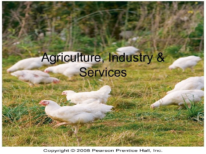 Agriculture, Industry & Services 
