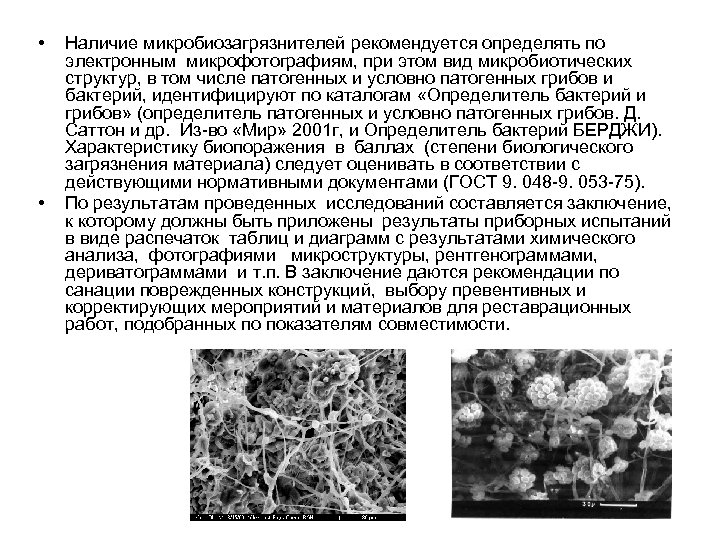  • • Наличие микробиозагрязнителей рекомендуется определять по электронным микрофотографиям, при этом вид микробиотических