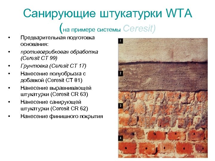 Санирующие штукатурки WTA (на примере системы Ceresit) • • Предварительная подготовка основания: противогрибковая обработка