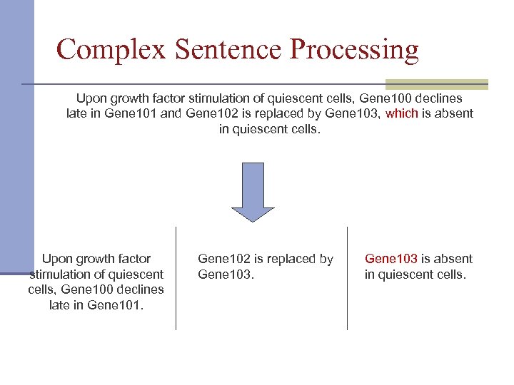 Complex Sentence Processing Upon growth factor stimulation of quiescent cells, Gene 100 declines late