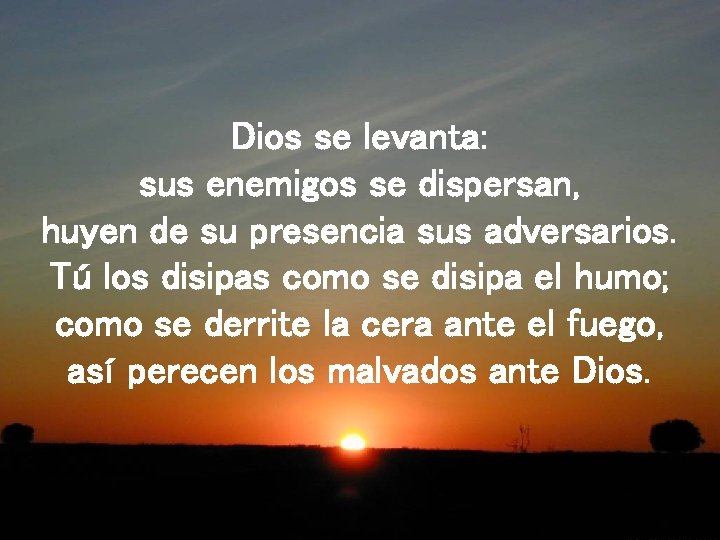 Dios se levanta: sus enemigos se dispersan, huyen de su presencia sus adversarios. Tú