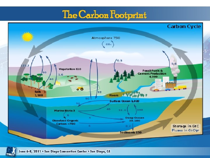The Carbon Footprint 