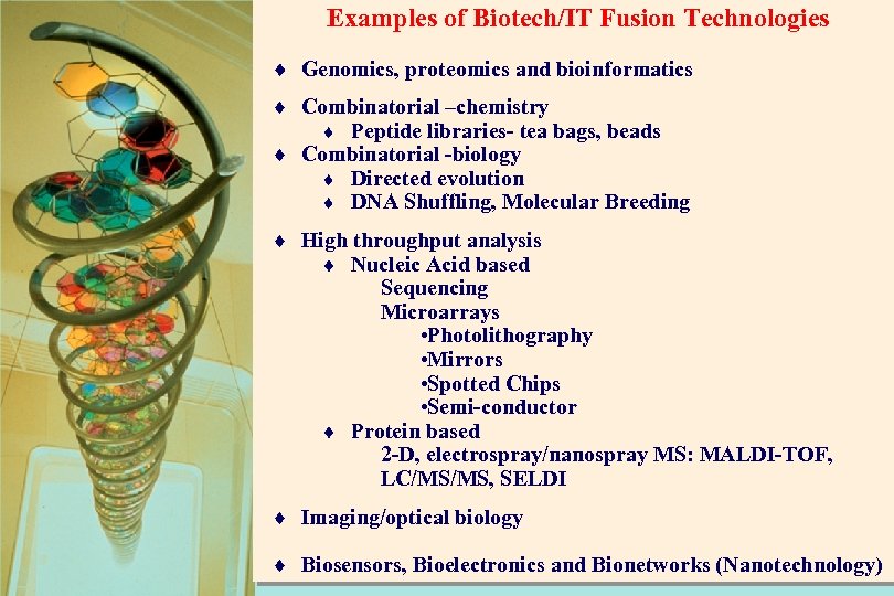 Examples of Biotech/IT Fusion Technologies ¨ Genomics, proteomics and bioinformatics ¨ Combinatorial –chemistry ¨