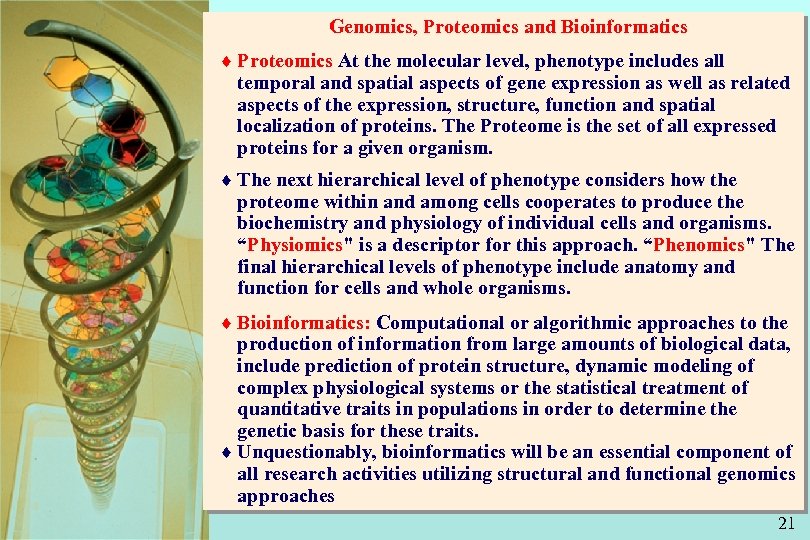 Genomics, Proteomics and Bioinformatics ¨ Proteomics At the molecular level, phenotype includes all temporal