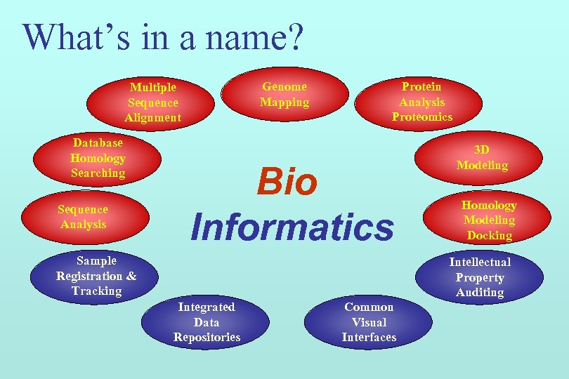 What’s in a name? Genome Mapping Multiple Sequence Alignment Database Homology Searching Sequence Analysis