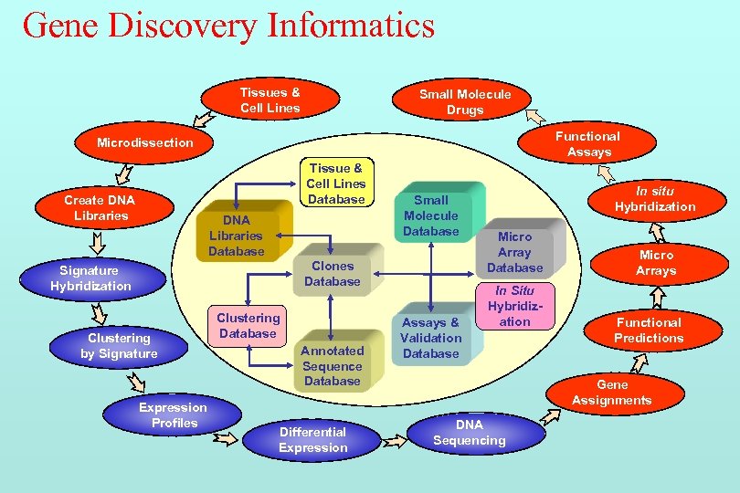 Gene Discovery Informatics Tissues & Cell Lines Small Molecule Drugs Functional Assays Microdissection Tissue