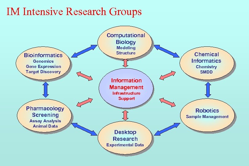 IM Intensive Research Groups Computational Biology Bioinformatics Modeling Structure Genomics Gene Expression Target Discovery